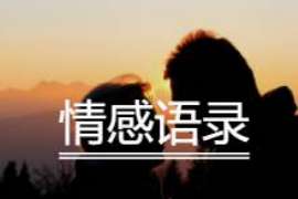 东区侦探取证：夫妻共有财产分割原则